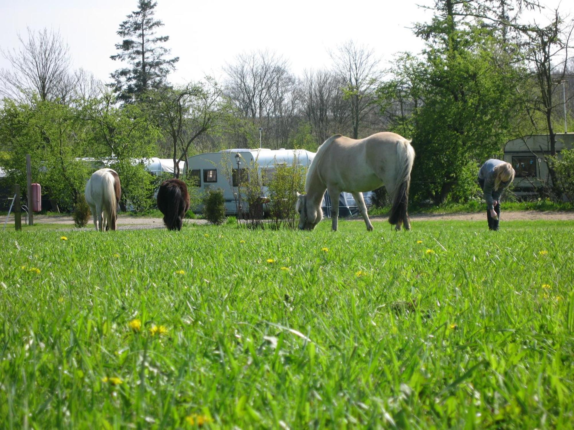 Boeslunde Camping Bagian luar foto